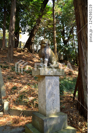 埼玉県鴻巣市滝馬室の氷川神社 124298119