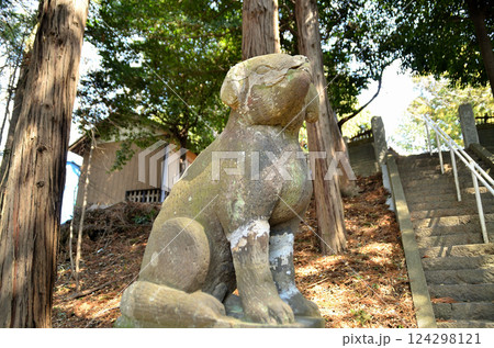 埼玉県鴻巣市滝馬室の氷川神社 埼玉県鴻巣市滝馬室の氷川神社 124298121
