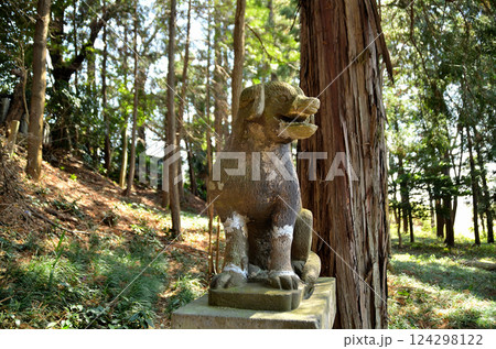 埼玉県鴻巣市滝馬室の氷川神社 埼玉県鴻巣市滝馬室の氷川神社 124298122
