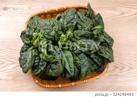 縮みほうれん草 縮みほうれん草 124298493