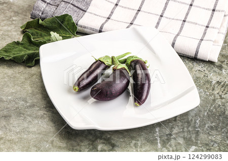 Small few baby eggplant over board 124299083