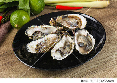 Raw fresh wild oyster dish Raw fresh wild oyster dish 124299086