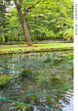 さかなと森の観察園 （栃木県日光市） 124299535