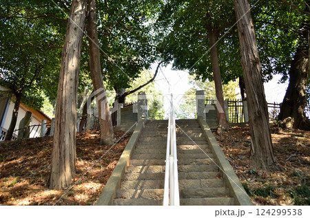 埼玉県鴻巣市滝馬室の氷川神社 埼玉県鴻巣市滝馬室の氷川神社 124299538