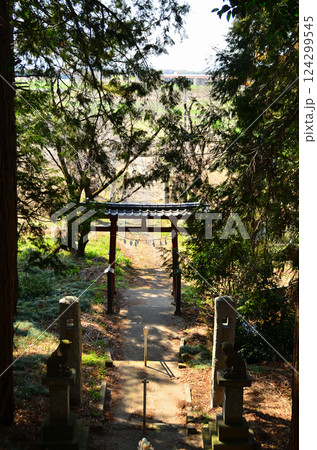 埼玉県鴻巣市滝馬室の氷川神社 124299545