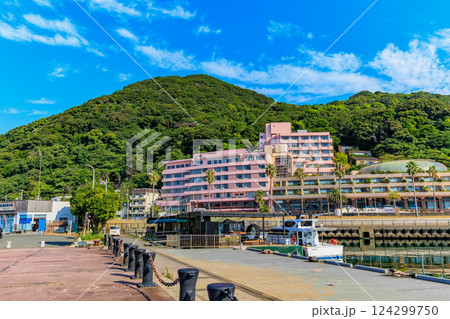 静岡県　下田市　下田港内めぐり　 124299750