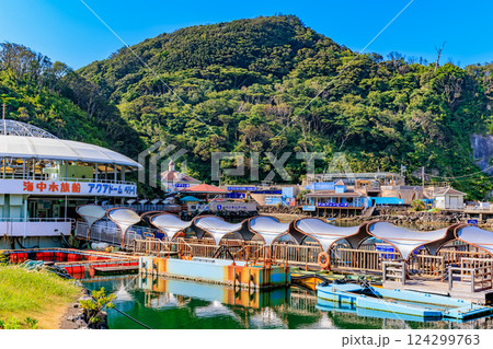静岡県　下田市　下田海中水族館 124299763