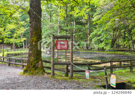 さかなと森の観察園 （栃木県日光市） 124299840