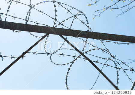 Barbed Wire Against Blue Sky Barbed Wire Against Blue Sky 124299935