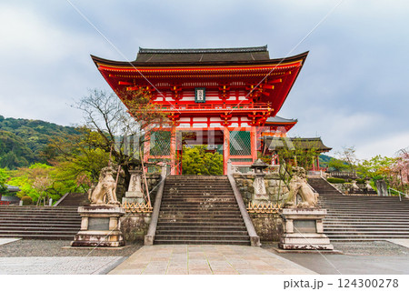 春の京都 清水寺 仁王門 春の京都 清水寺 仁王門 124300278