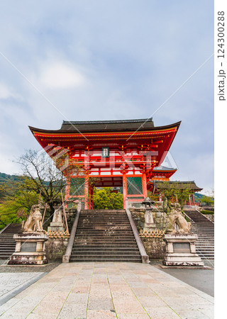 春の京都 清水寺 仁王門 春の京都 清水寺 仁王門 124300288