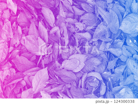Fallen leaves creative background. 124300338