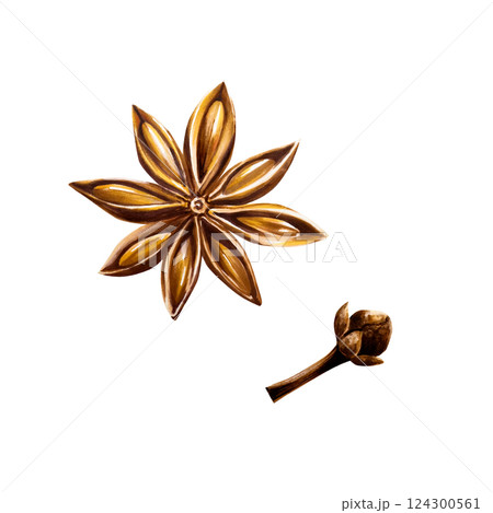 Whole star anise. Dry spice clove. Watercolor hand drawn aromatic Christmas illustration isolated on transparent background. For designers, menu, decoration, food blog, ecofriendly branding. Healthy 124300561