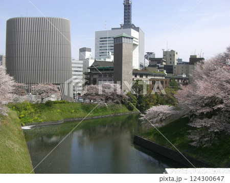 桜咲く、皇居前の濠に映る建物 124300647