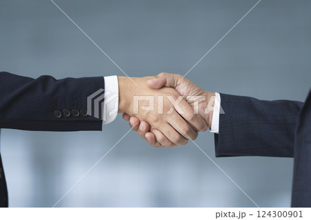 握手をするビジネスマンの手元 124300901