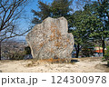 時を遡る楯築遺跡 124300978