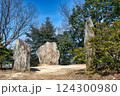 時を遡る楯築遺跡 124300980
