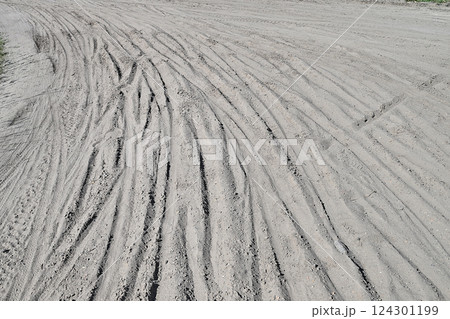 Multiple Bicycle tire tracks  in a sandy road 124301199
