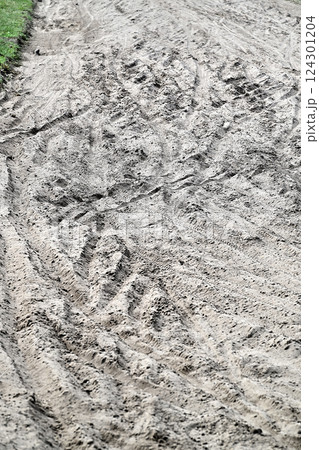 Multiple Bicycle tire tracks  in a sandy road 124301204