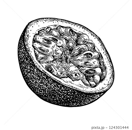 Passionfruit ink sketch 124301444