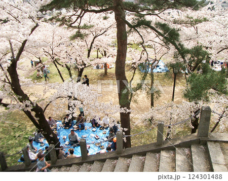 盛岡城趾公園の本丸から吹上馬場への石段(岩手県盛岡市) 盛岡城趾公園の本丸から吹上馬場への石段(岩手県盛岡市) 124301488