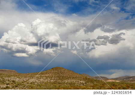Landscape Sonora Desert Arizona 124301654