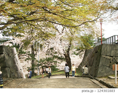 盛岡城趾公園の御本丸御門（岩手県盛岡市） 124301883