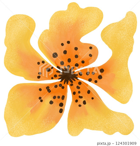 Hand drawn illustration of bright colorful tropical hibiscus yellow orange tiger lily flower. Big bold stylized image of floral design, bloom blossom in modern style on white background. 124301909