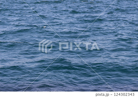 風に揺れる青い海 ～さざ波がゆらめく水面～ 124302343