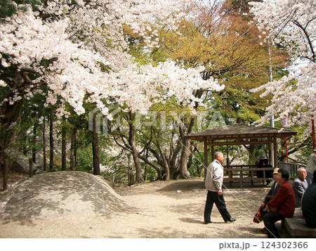 盛岡城趾公園の三の丸の拾翠亭(岩手県盛岡市) 盛岡城趾公園の三の丸の拾翠亭(岩手県盛岡市) 124302366