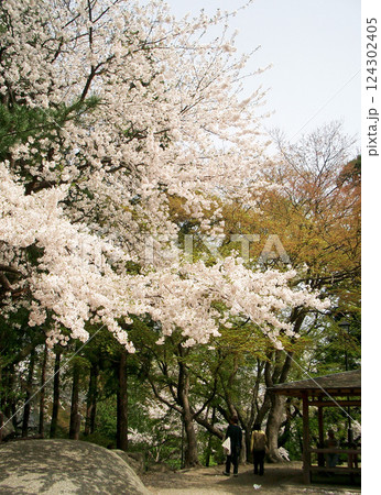 盛岡城趾公園の三の丸の拾翠亭（岩手県盛岡市） 124302405