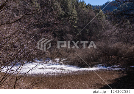 山の神自然園　干上がった溜まらずの池 124302585