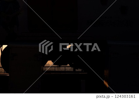 生駒山麓を走る近畿日本鉄道奈良線車両 124303161