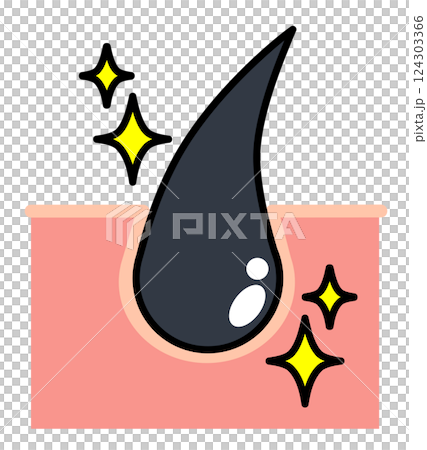 健康な毛根で黒い髪の毛の組織イラスト 健康な毛根で黒い髪の毛の組織イラスト 124303366