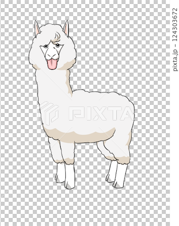 アルパカ　ベー 124303672
