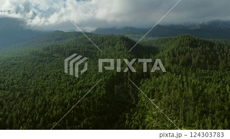 High Tatras mountains forest aerial view High Tatras mountains forest aerial view 124303783