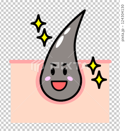 健康で元気な毛根から黒髪の毛が発毛する断面図 124304130