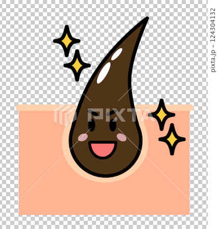 健康で元気な毛根から黒髪の毛が発毛する断面図 124304132