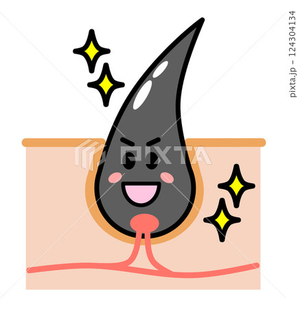 健康で元気な毛根から黒髪の毛が発毛する断面図 124304134