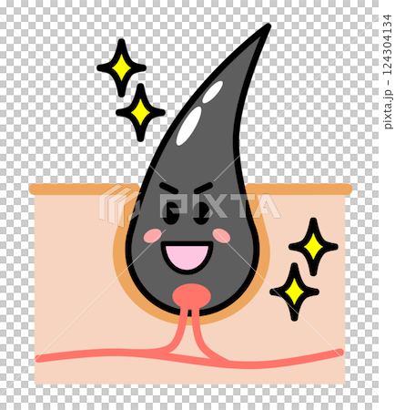 健康で元気な毛根から黒髪の毛が発毛する断面図 124304134