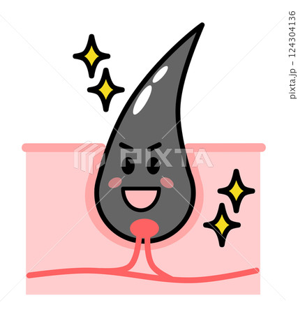 健康で元気な毛根から黒髪の毛が発毛する断面図 124304136