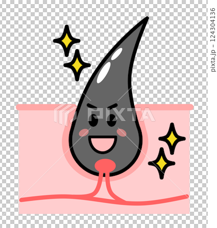 健康で元気な毛根から黒髪の毛が発毛する断面図 124304136