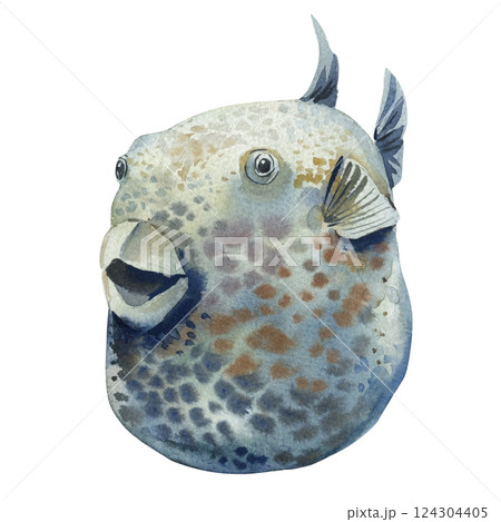Moon fish, exotic spotted fish watercolor painting, tropical ocean animal with vibrant dots hand-drawn sea life isolated 124304405