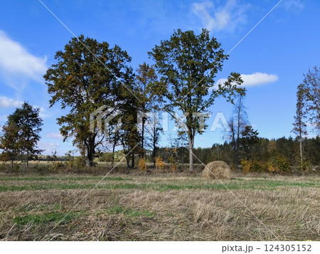 Countryside landscape. Beautiful typical autumn landscape of the countryside. beautiful rural farming landscape Countryside landscape. Beautiful typical autumn landscape of the countryside. beautiful rural farming landscape 124305152