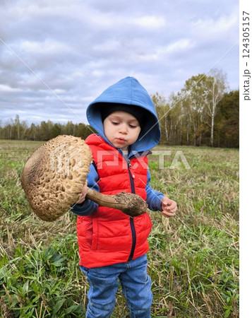 Cute child shows the camera a large edible mushroom umbrella that he found in the forest. Autumn mushroom harvest. A happy child is holding a large mushroom in his hands 124305157
