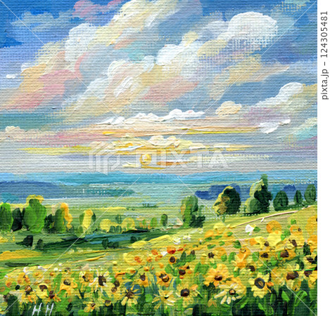 sunset over sunflower field, nature landscape summer scenery, peaceful countryside sky, rural horizon vibrant flowers 124305481