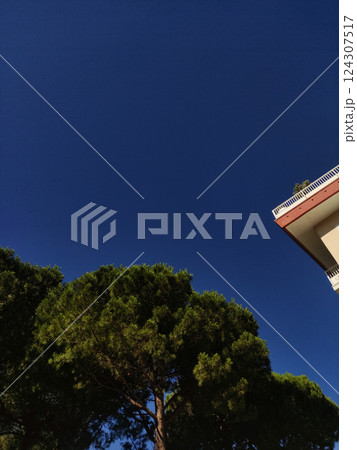 Blue sky arching over verdant trees, urban corner revealing summer morning scene in bibione, italy 124307517