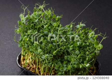 Young fresh green pea microgreen sprouts in plastic box Young fresh green pea microgreen sprouts in plastic box 124308040