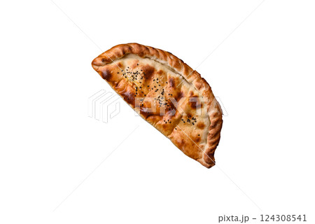 Cheburek meat pastry pie with herbs on the white background 124308541