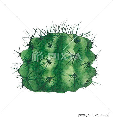 Green round cactus with needles, hand-drawn with watercolors on a white background. For printing postcards, stickers, for website and social network design, printing on textiles 124308751